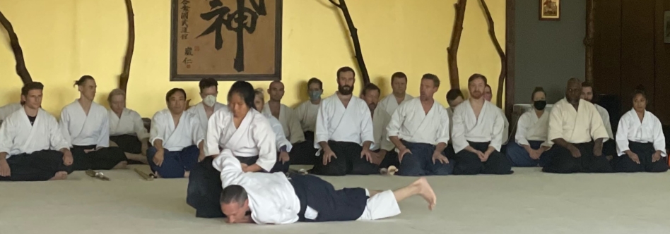 2 Qin ikkyo pin with Andrew